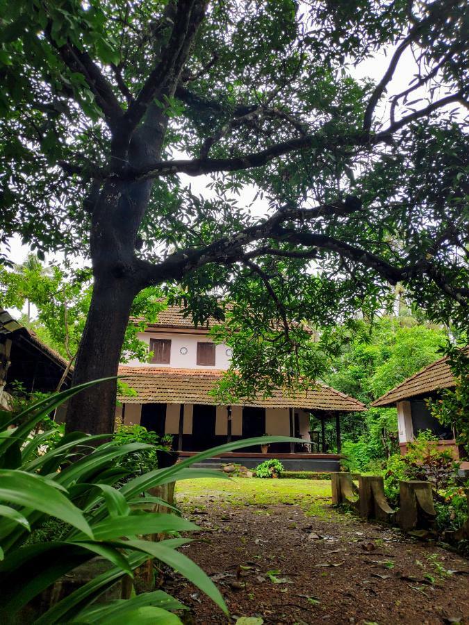 Meadows Villa Thrissur Eksteriør bilde